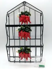 New Red Chili Peppers Keys & Mail Holder Wall Rack