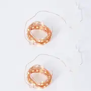 2x E Style Luminous Bright 6m String Light Indoor/Outdoor Lighting Copper