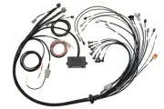 Elite 2500 V8 Small/Big Block Terminated Harness Injector Connector: Bosch EV1