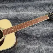 Epiphone Songmaker DR 212 Natural