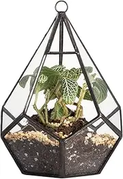 NCYP Hanging Glass Terrarium Modern Artistic Wall Tears Shape Diamond Geometric Polyhedron Air Plant Holder 13.5cm Height Desk Planter DIY Centerpiece Vase Succulent Flower Pot (Plants Not Included)