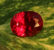 15.70 Ct Natural Certified Pigeon Blood Red Ruby Oval Unheated Loose Gemstone