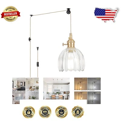 Adjustable Mini Pendant Light with Clear Tulip Glass Shade for Elegant Spaces