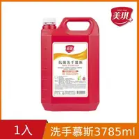 在飛比找森森購物網優惠-美琪抗菌洗手慕斯3785ml