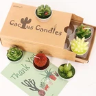 6 Styles Cactus Tealights - Delicate Succulent Tealight Candles for Home Decor,