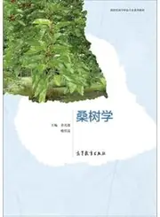 Mulberry tree(Chinese Edition)