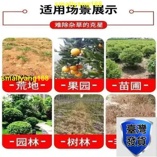 臺灣出出售 爆火精草銨膦銨鹽 果園荒地行間除草 牛筋草 園林除草 新舊包裝隨機出貨