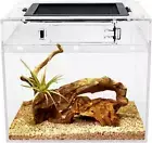 Mini Reptile Terrarium,8" X 8"X 8" Reptile Tank with Full View Visually Appealin
