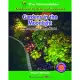 Gardens in the Moonlight: What Plants Do at Night