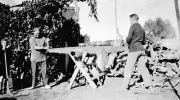 Men sawing wood with a cross cut saw Mildura Victoria ca 1935 OLD PHOTO