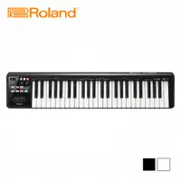 在飛比找蝦皮商城優惠-Roland A49 MIDI 49鍵主控鍵盤 兩色款【敦煌