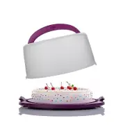 Cake Fresh Keeping Box Portable Sealing Box Baking Sheet Paper 12 16