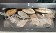 Pottery Barn Leafy Glam Gilded White LED String Lights 6 Foot Garland Timer NIB