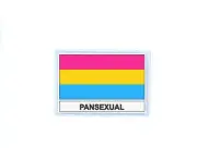 Patch Badge Printed Flag Pansexual Waits