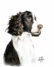 ✿ ORIGINAL Oil Portrait Painting ENGLISH SPRINGER SPANIEL Artist Signed Dog Art