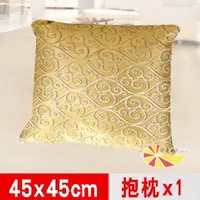 在飛比找PChome24h購物優惠-【凱蕾絲帝】飛黃藤達~抱枕(45*45CM)1入