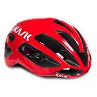 在飛比找蝦皮購物優惠-胖虎單車 Kask Protone WG11 Road He