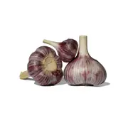 Organic Italian Garlic Whole Kg – Fresh, healthy organic delivery | Doorstep Organics