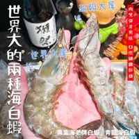 在飛比找蝦皮購物優惠-【潮鮮世代】黑盒海老牌白蝦，青龍海白蝦