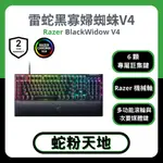 🐍蛇粉專屬天地🐍 RAZER BLACKWIDOW V4 雷蛇黑寡婦 V4 全尺寸鍵盤  綠軸 黃軸 有線鍵盤 英文中文