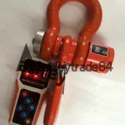 1PC With Wireless Handheld Meter Digital 10T Electronic Hanging Crane Scale