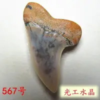 在飛比找Yahoo!奇摩拍賣優惠-光工水晶阿賽斯特萊 勾齒鯊吊墜史前巨獸天然真牙項鍊挂墜純銀鑲