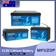12V 100AH 200AH 300AH Lithium LiFePO4 Battery 10000+ Deep Cycle BMS RV Camping