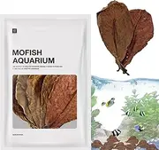 Indian Almond Leaves | Catappa Leaves | Indian Almond Catappa Leaves, 20pcs Safe Dried Leaves, Creates Native Environment, Health & Create Native Environment | Catappa Leaves for Aquariums, Fish Tank