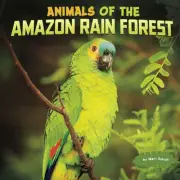 Animals of the Amazon Rain Forest by Mari Schuh (English) Paperback Book