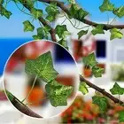 Artificial hanging plants 2PCS Decor Garland Leaf Special occasion Vine Wall