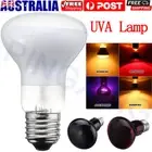 Reptile Heat Light 25W 50W 75W 100W UVA Lamp Day Night Amphibian Bird Snake Lamp