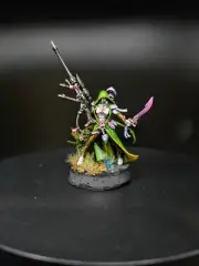 Warhammer 40k Aeldari Amallyn Shadowguide, Asuryani Ranger. Pro Painted & Based.