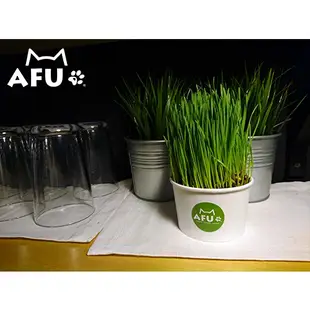 【AFU寵物世界】草杯杯 貓草杯 辦公室療癒小盆栽