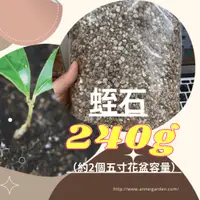 在飛比找蝦皮購物優惠-蛭石 / 介質 / 資材-約2個五吋花盆容量