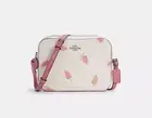 Coach Mini Camera Bag With Popsicle Print C4216