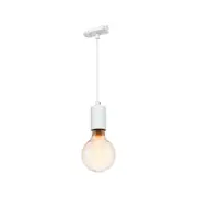 Mercator OLEN E27 Globe Pendant Track Light - White Finish
