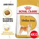 【法國皇家】柴犬成犬S26 4KG+送【5包】體重控制狗LWMN 50g