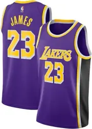 Lebron James #23 Lakers Purple On Court Replica Jersey Mens