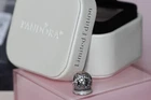 NIB PANDORA 2015 BLACK FRIDAY LE WONDERLAND CHARM USB794200 BOX RETIRED $75