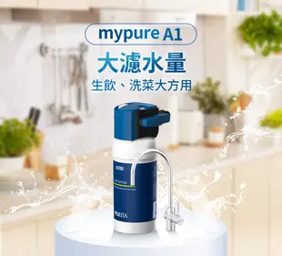 (2支入)德國BRITA On Line A1000長效型淨水器專用濾心 大大淨水 (7.9折)