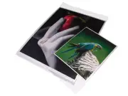 Print File 13x19 Re-sealable Photo / Art Bags 100 Pack (Same Shipping Any Qty)
