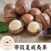 在飛比找蝦皮購物優惠-【大進利】澳洲烘培帶殼夏威夷果 薄鹽口味 大進利商行－三代傳