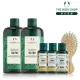 【THE BODY SHOP 美體小舖】植萃洗髮小資組(洗髮精400ML*2+薑根洗髮精60ml*2+薑根護髮乳60ml+木梳)