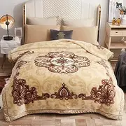 UGFJMN 11 lbs Heavy Korean Mink Blanket 78"×90", Silky Soft and Warm, 2 Ply Reversible Raschel Bed Blanket,(200x230cm 5kg).
