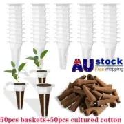 50x Hydroponic Growing Kit Starter Pods Replacement Grow +Growing Sponge Seeds