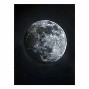 Moon Canvas Print
