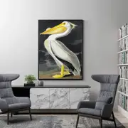 American White Pelican By John James Audubon Canvas Wall Art