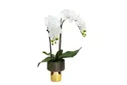 Glamorous Fusion Orchid 60cm Artificial Plant Flower Arrangement Decorative In Black/Gold Pedestal Bowl