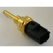 RAE Coolant Temperature Sensor - CS895