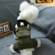 GGP S Best Friend Cute Four Legged Dog Clothes Spring/Summer Pet Outfit, Soft & Breathable